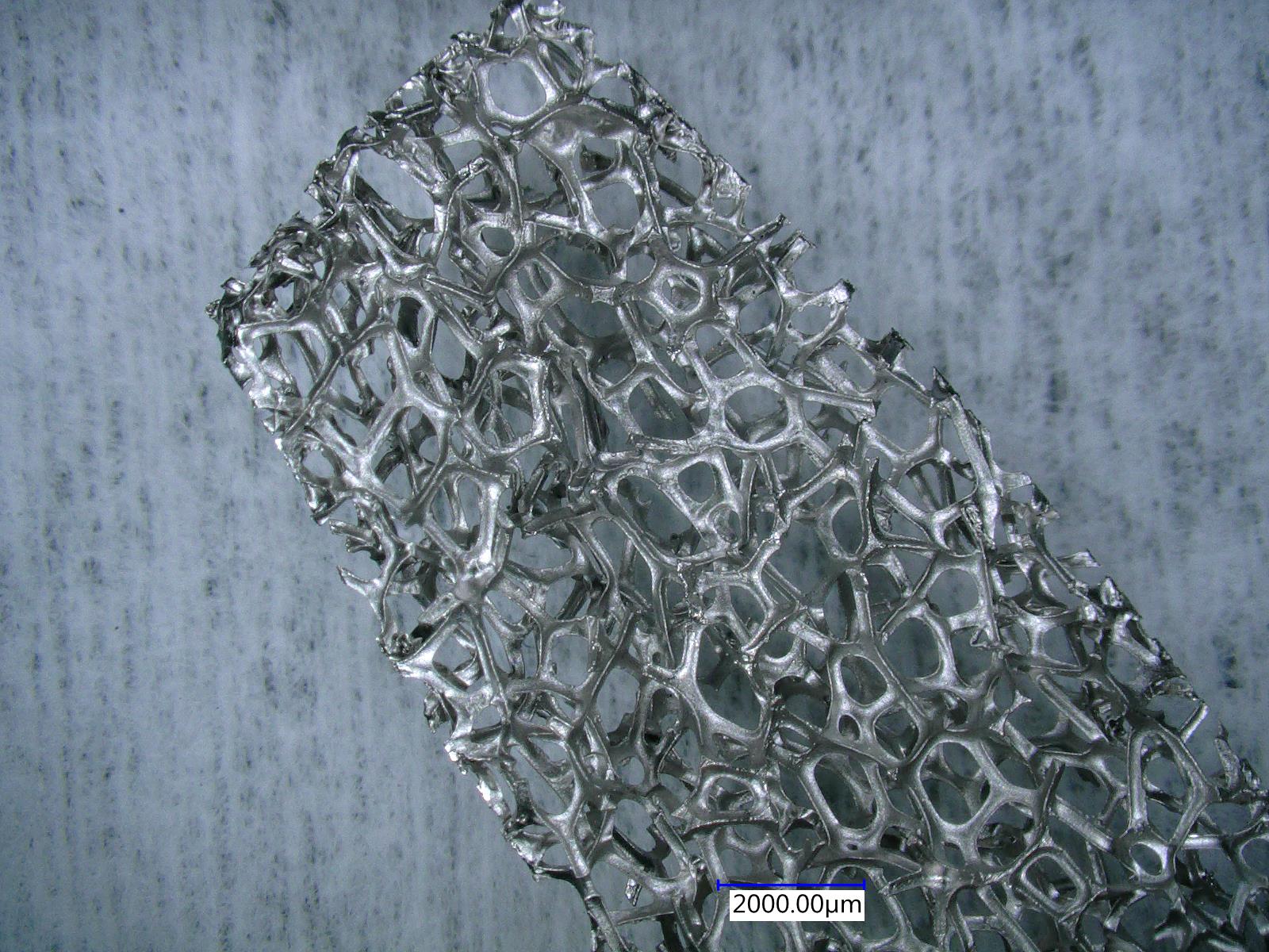 Nickel Foam Electrode I